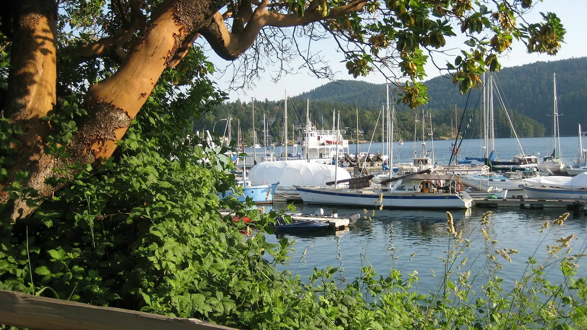 Brentwood Bay Resort & Spa 5*, Brentwood Bay Canada